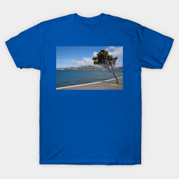 Miramar waterfront. T-Shirt by sma1050